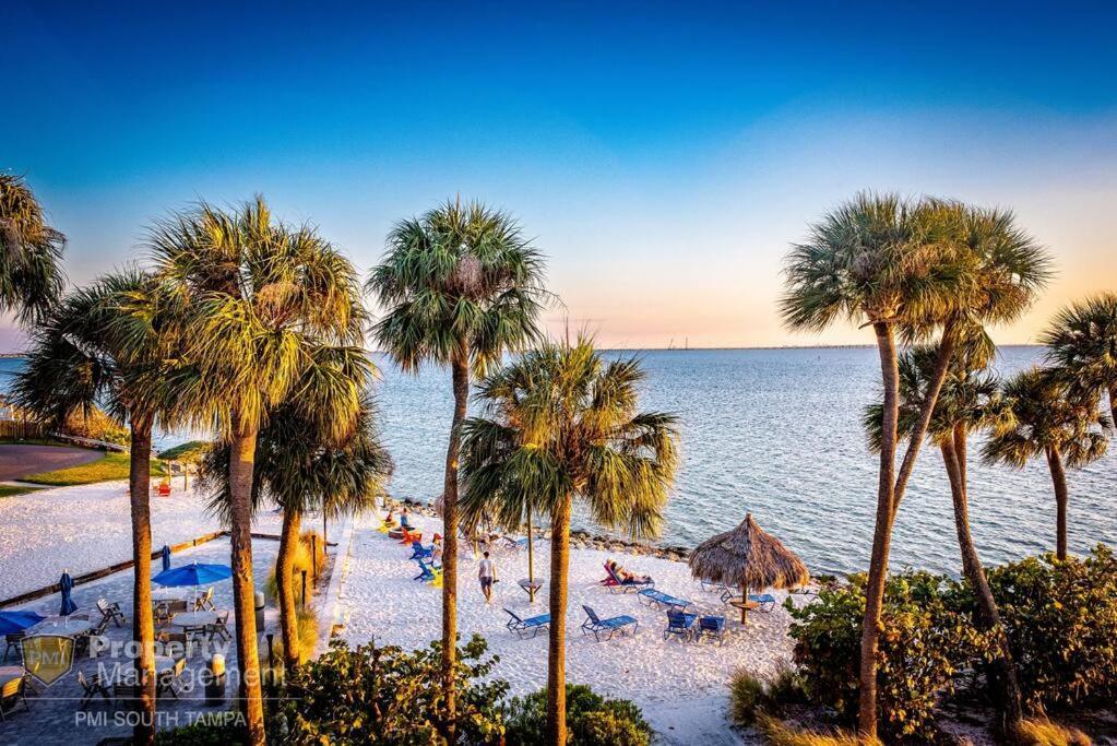 Rays By The Bay Tampa