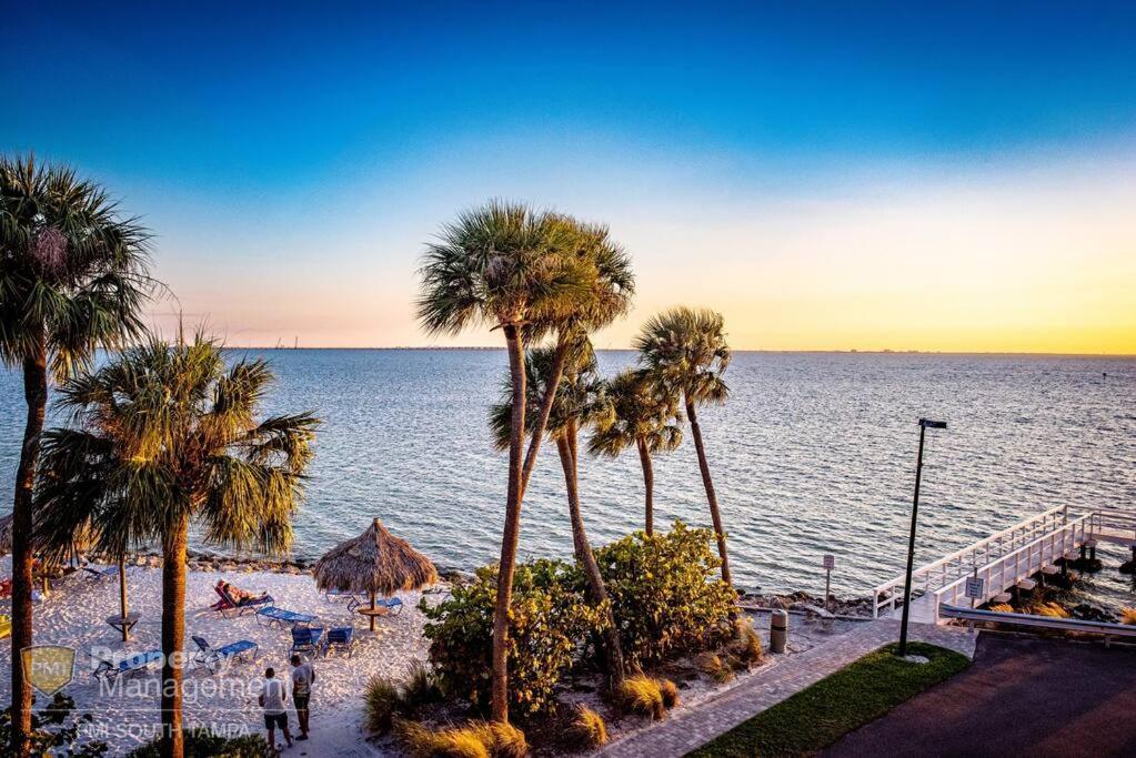 Rays By The Bay Tampa