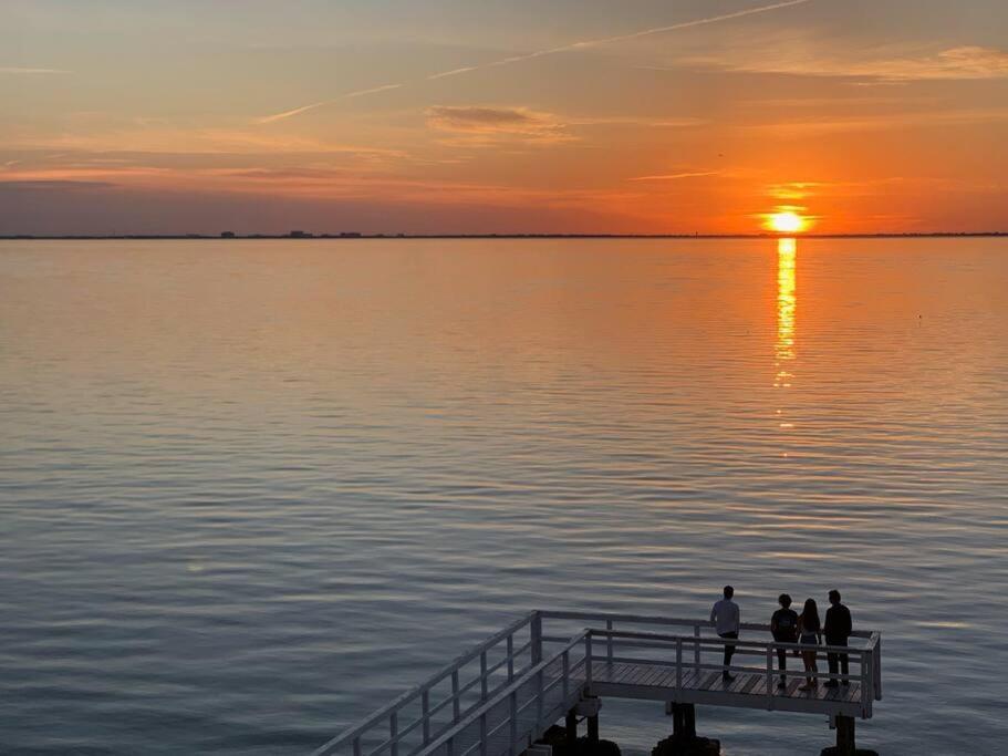 Rays By The Bay * Tampa